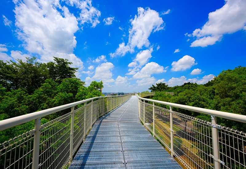 八卦山天空步道-步道上風景.jpg