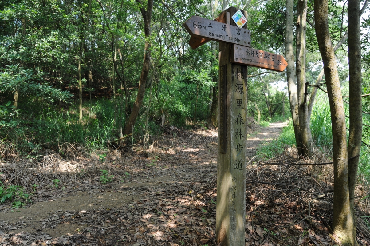 桃源里森林步道風景.jpg