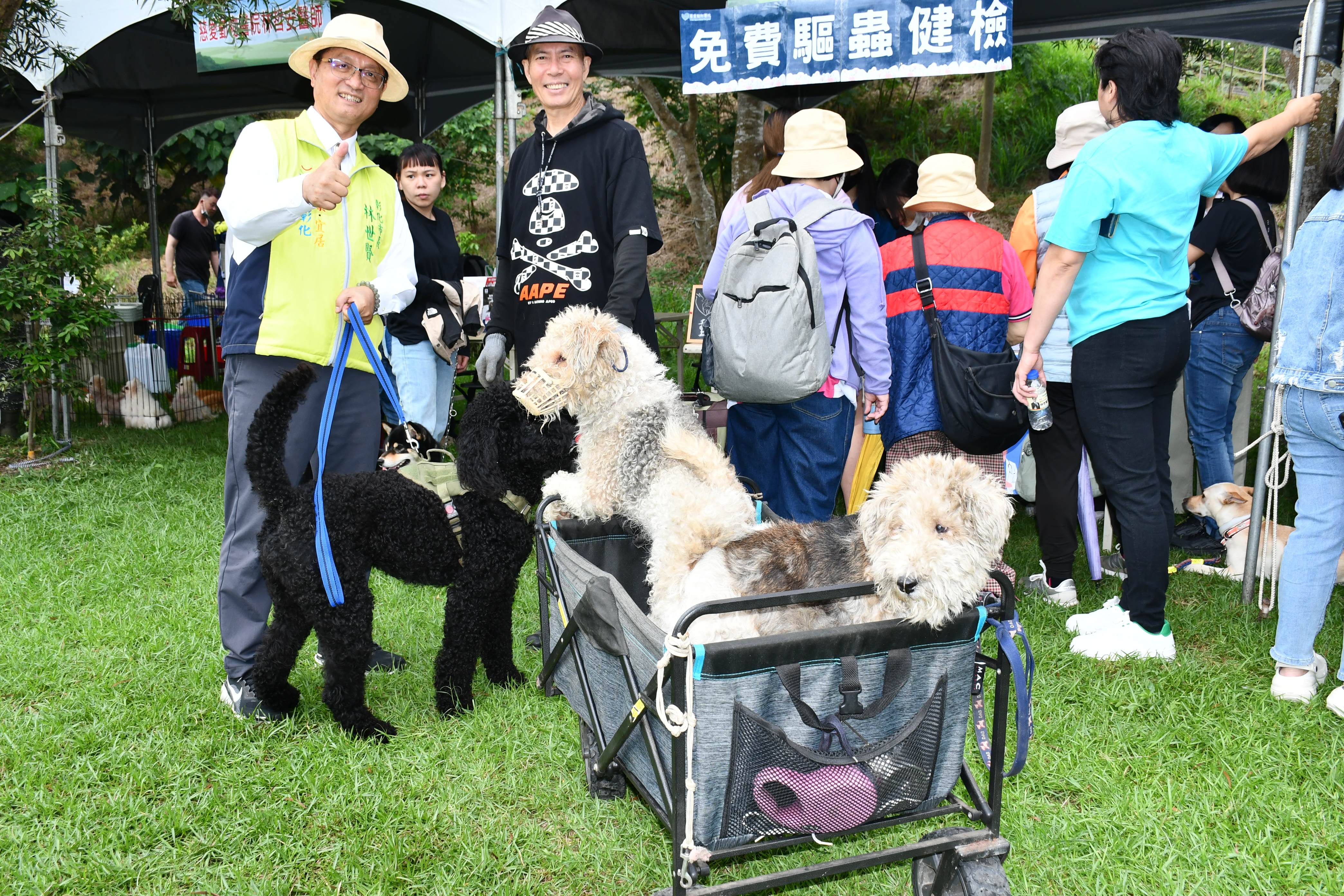 龍物嘉年華活動大家樂開懷.jpg