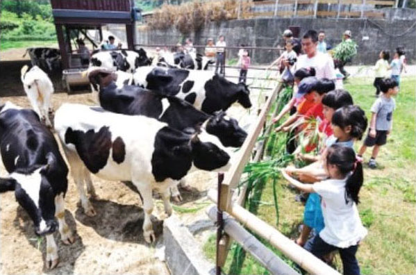 Image: Dairying