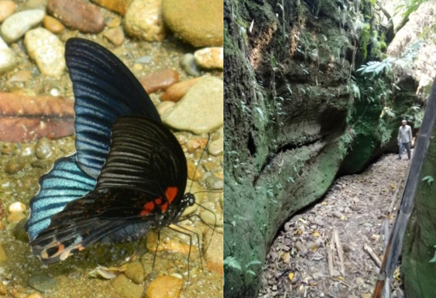 Image: Bagua Mt. ecology hiking trails surrounded by greener with rich biodiversity to watch